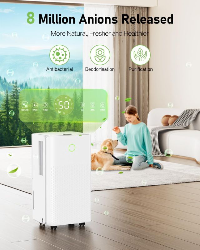 Deumidificatore 12L/giorno Nuovo