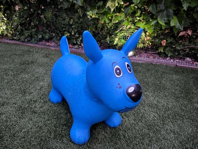 Pelota saltarina perro azul