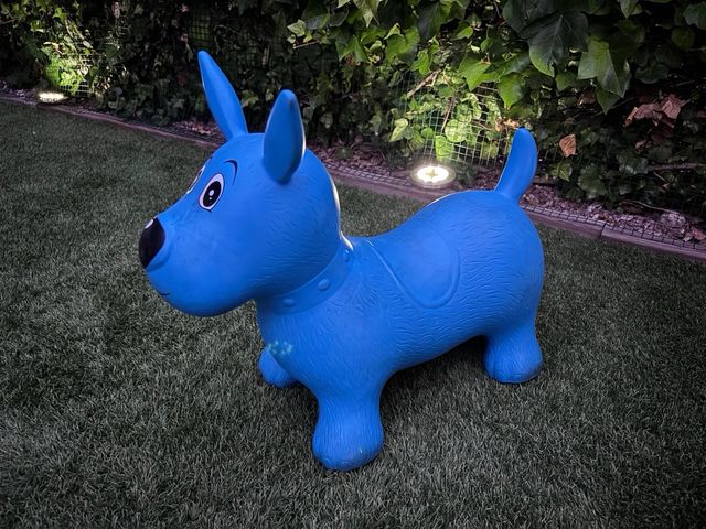 Pelota saltarina perro azul