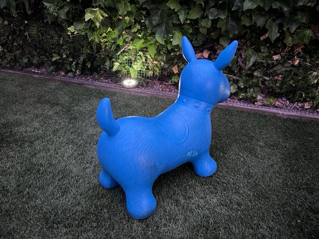 Pelota saltarina perro azul