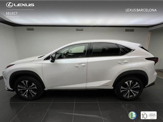 Lexus NX300h PREMIUM 2021 REF 1486
