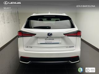 Lexus NX300h PREMIUM 2021 REF 1486