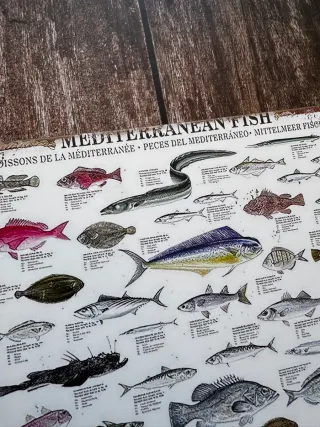 CARTEL PECES MEDITERRANEO