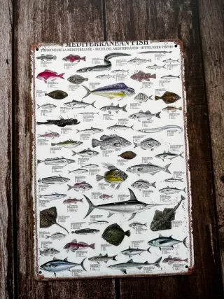 CARTEL PECES MEDITERRANEO
