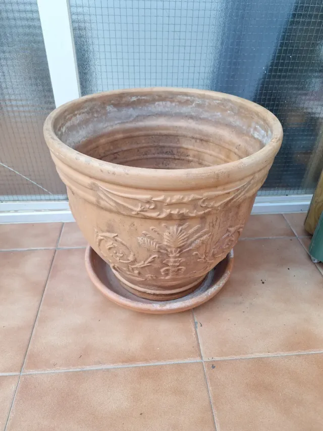 Maceta de barro con plato