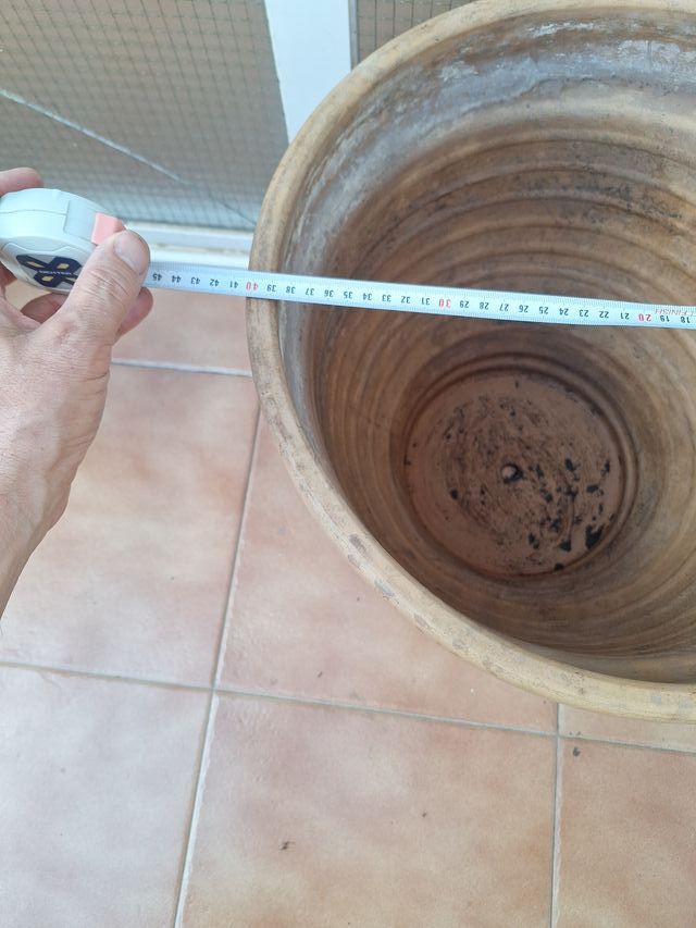 Maceta de barro con plato