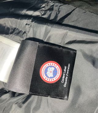 Canada Goose 