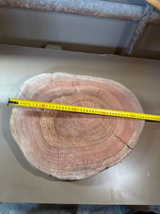 Rodajas de madera