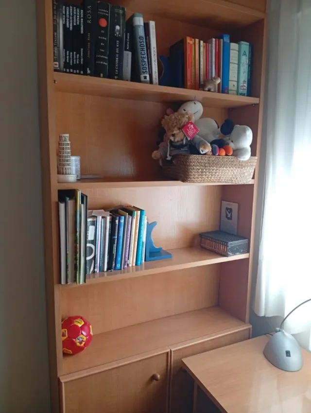 Mueble juvenil: estanterías y escritorio