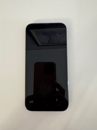 iPhone 13 Pro Max 256 GB color grafito 