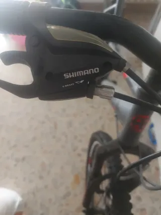 Bicicletta MTB Tourney Shimano