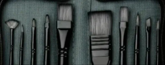 Juego 10 Pinceles Negros Profesional