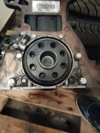 Bloque Motor BMW M47