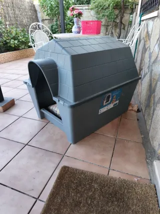 Caseta para perros grande.