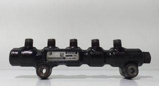 RAMPA INYECTORA 158412 PEUGEOT 307 (S1)