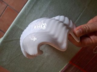 Vasetto decorativo a forma di conchiglia