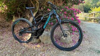 Bicicleta eléctrica Specialized Turbo Levo