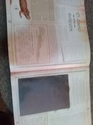 Libro Darwin: El Hombre Que Cambió La Ciencia
