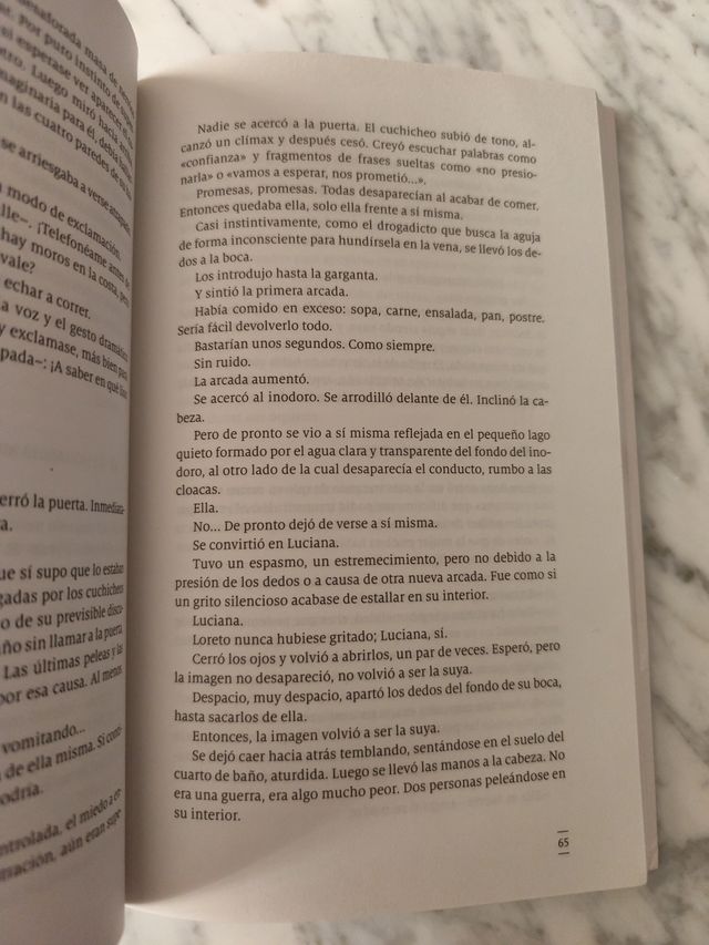 Campos de fresas (Spanish Edition)