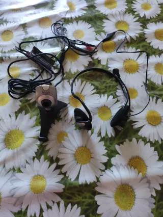 Webcam x pc + cuffie con microfono