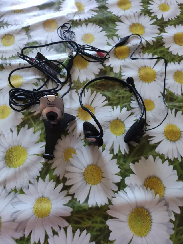 Webcam x pc + cuffie con microfono