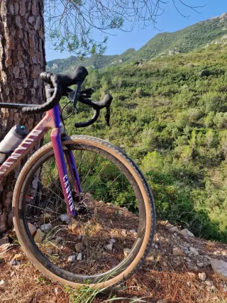 Canyon Inflite CF SL AXL Talla S