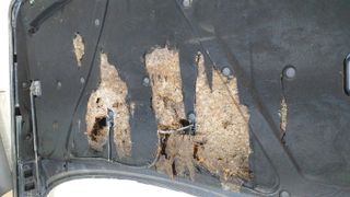 CAPOT 168340 LAND ROVER RANGE ROVER (LP)