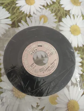 15 Vinili 45 giri - 30 Lezioni Inglese