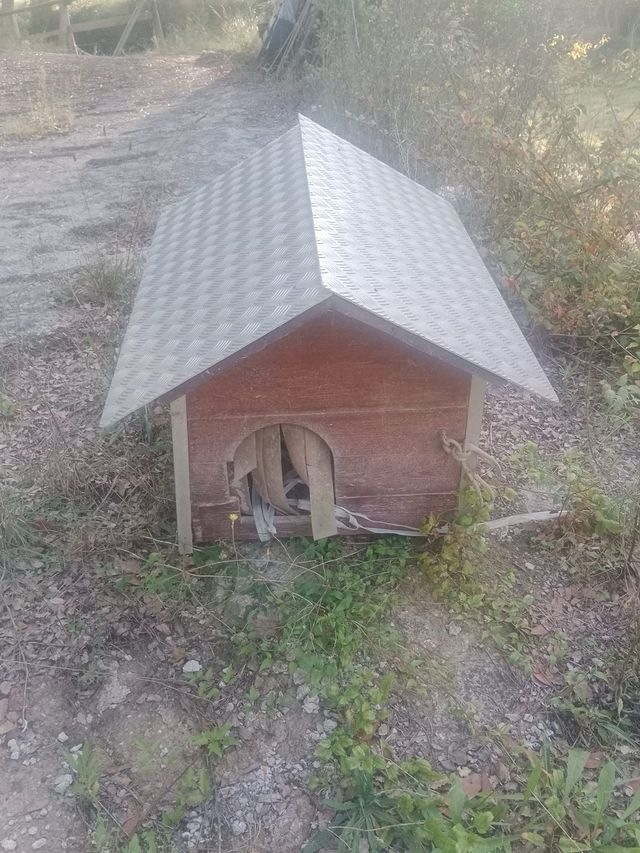 Caseta para perro con techo de aluminio