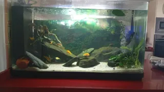 Acuario 180L 90x50x40