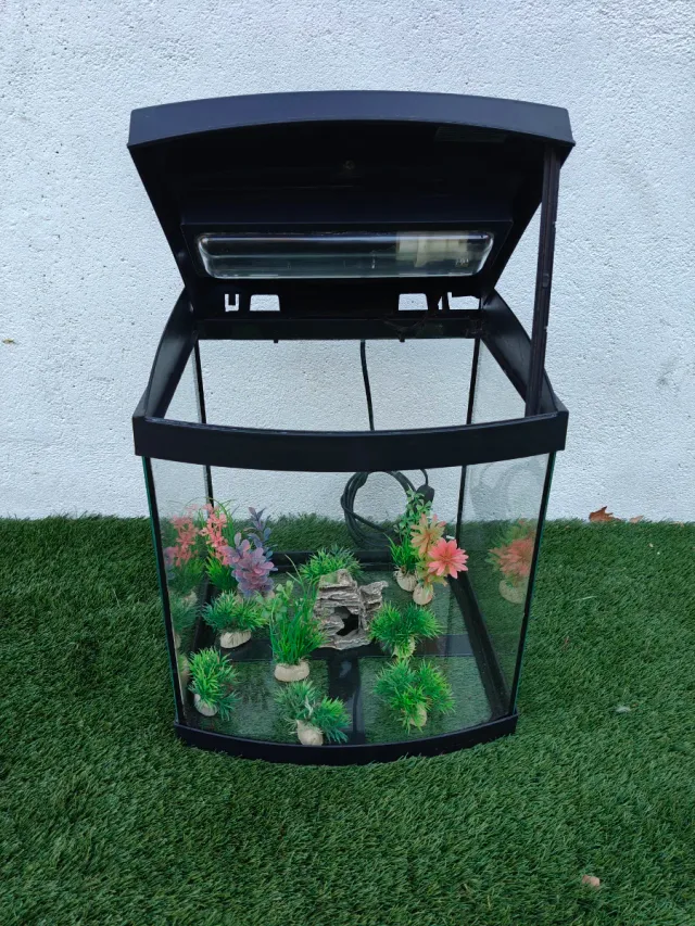 Acuario Pecera Negro con Plantas Decorativas