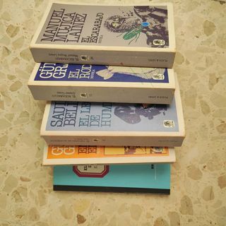 LOTE DE 5 LIBROS