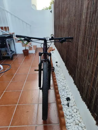 Trek Merlin 6. Talla M