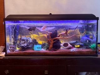 Acuario 126L