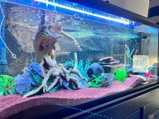 Acuario 126L