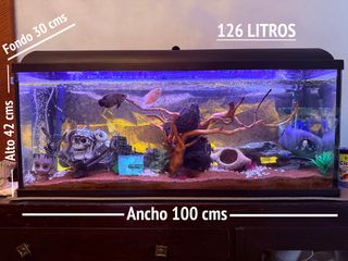 Acuario 126L