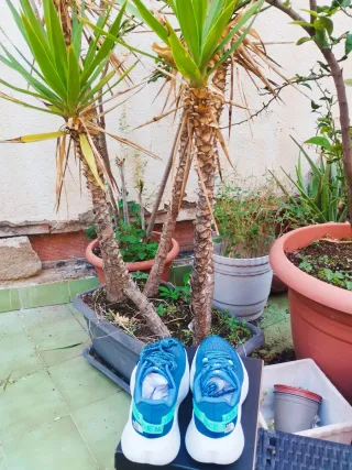 Zapatillas NUEVAS The North Face 