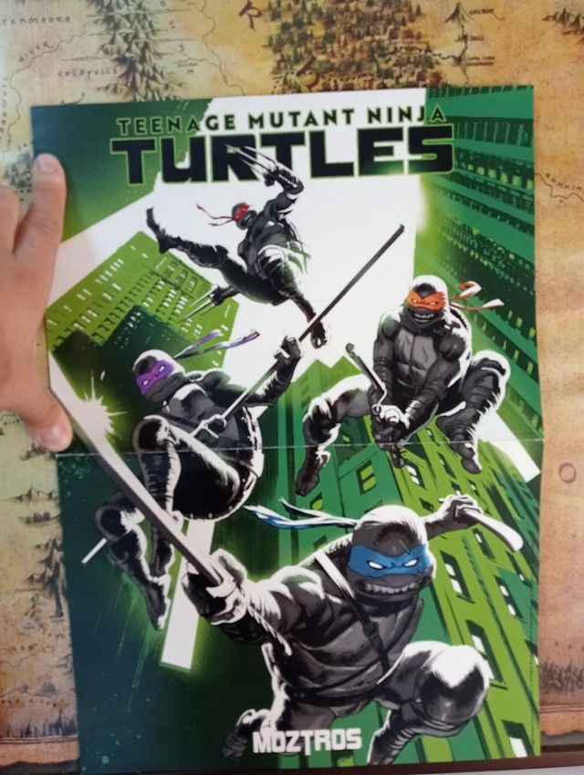 Póster Tortugas Ninja