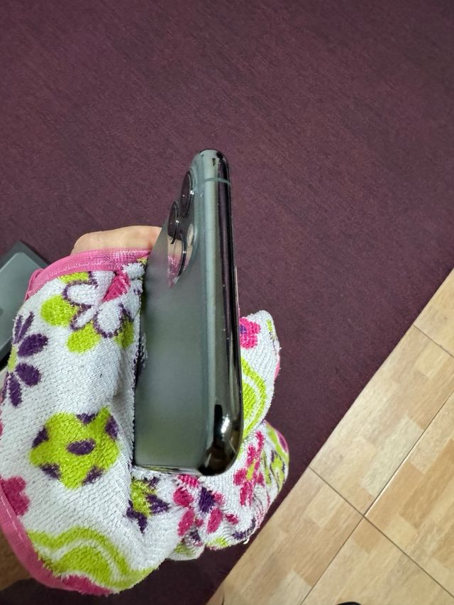 iPhone 11 Pro Max 256 GB verde iOS 16