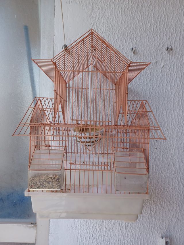 Jaula para pájaros naranja