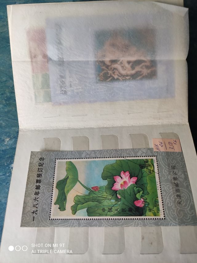 Álbum de sellos chinos