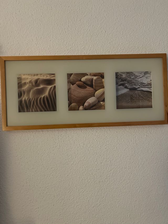 Cuadro Flores Rojas y Rosas