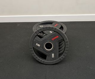 Lote Discos Gimnasio Taurus