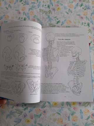 Anatomia Para El Movimiento I 