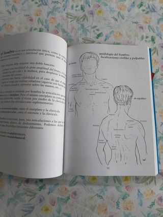 Anatomia Para El Movimiento I 