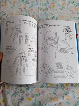 Anatomia Para El Movimiento I 