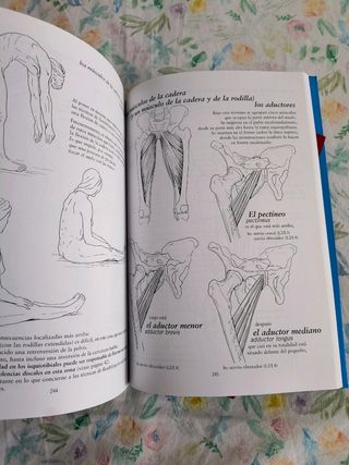 Anatomia Para El Movimiento I 