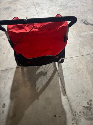 Carrello da bici per 2 bambini da corsa