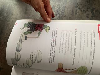 VACACIONES SANTILLANA REPAS 5é