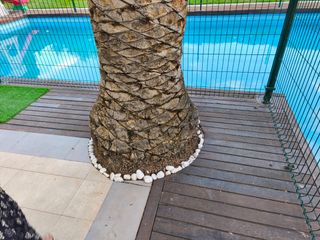 Tarima IPE madera exterior de alta calidad 30 m2